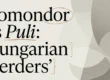Komondor vs Puli: Which Hungarian Herder Fits You