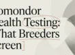 Komondor Health Testing: What Breeders Screen