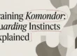 Training a Komondor: Guarding Instincts Explained