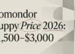 Komondor Puppy Price in 2026: What to Expect