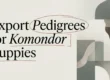 Understanding Export Pedigrees for Komondor Puppies