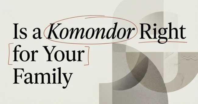 Is a Komondor the Right Dog for Your Family?